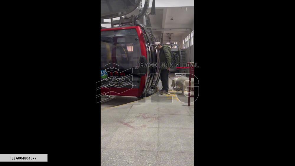 China: Dog Refuses to Board Cable Car at Laojun Mountain Scenic Area