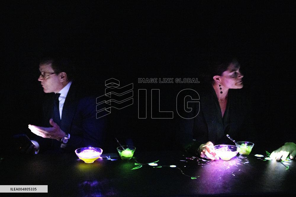 CROWN PRINCESS IN TOKYO