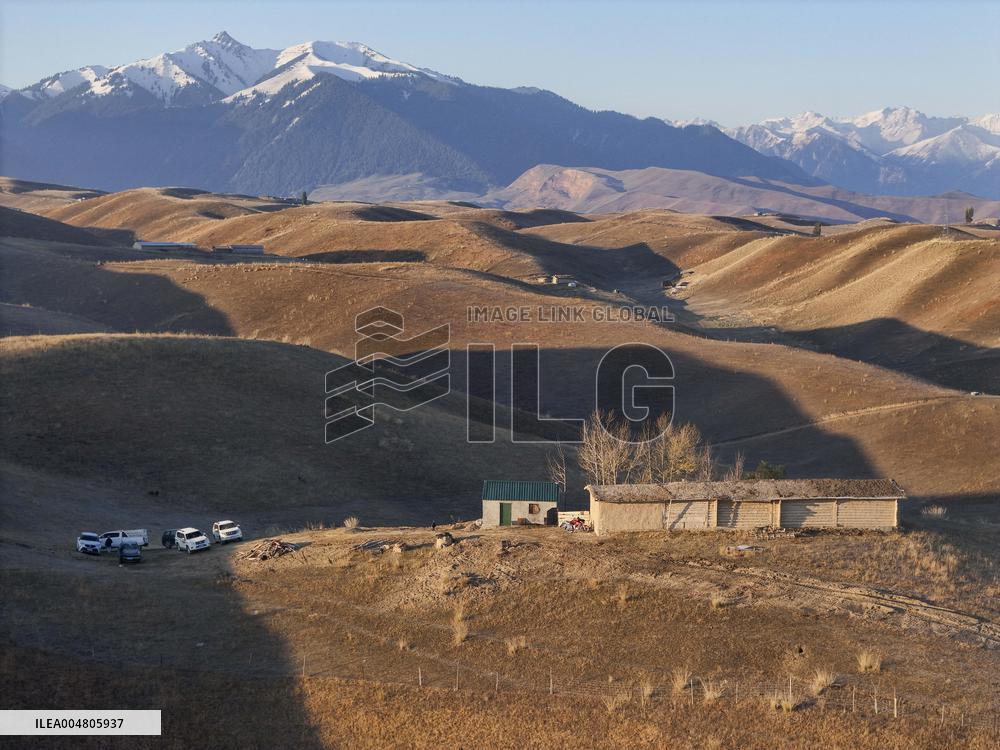 Xinjiang Tekes Wedding - China