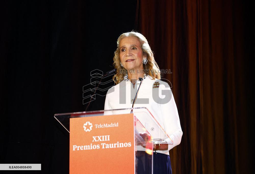 Infante Elena At Taurino de Telemadrid Awards - Madrid