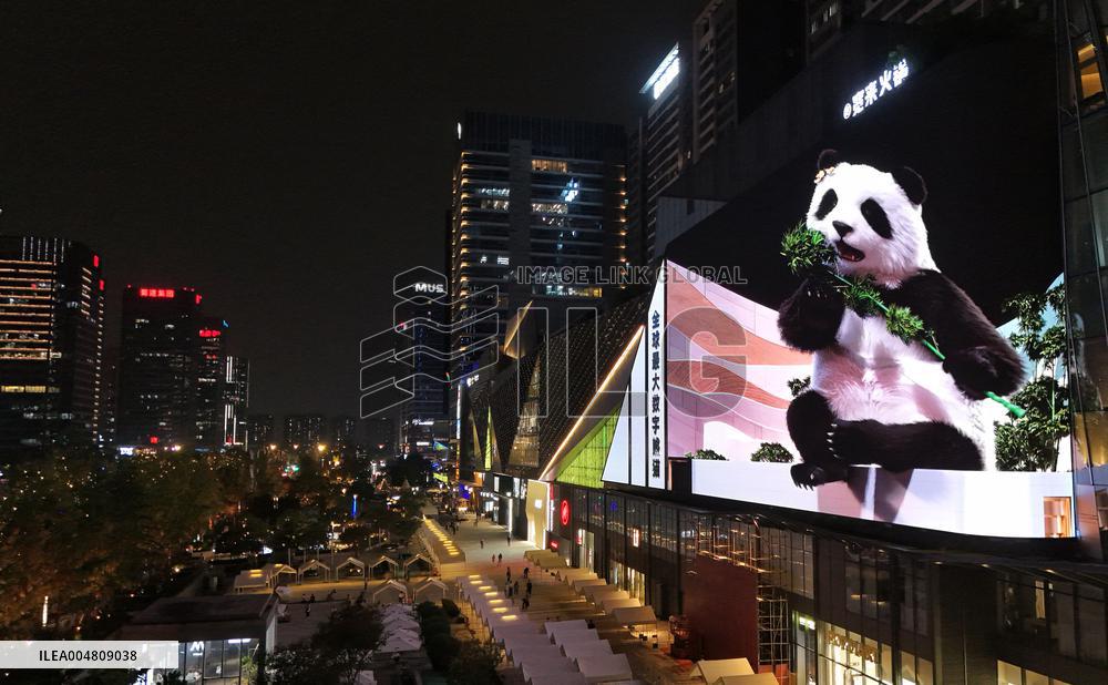 Glasses-Free 3 D Panda Along a Street - China