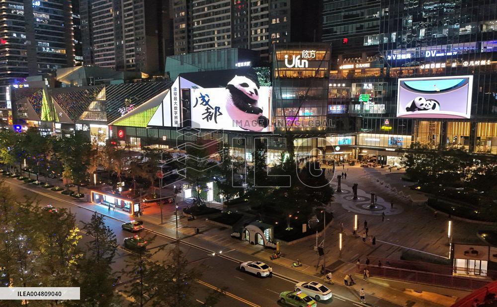 Glasses-Free 3 D Panda Along a Street - China