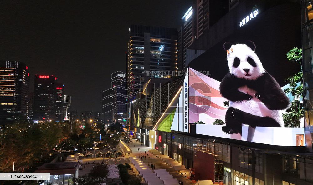 Glasses-Free 3 D Panda Along a Street - China