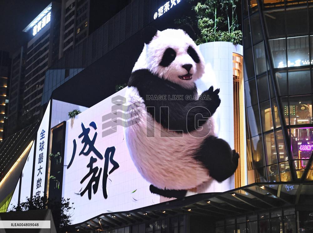 Glasses-Free 3 D Panda Along a Street - China