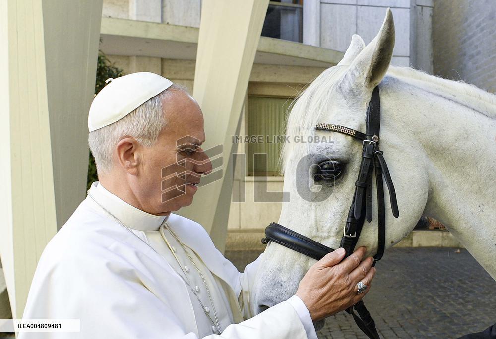 Pope Leo XIV Receives Purebred Arabian White Horse As A Gift  - Vatican
