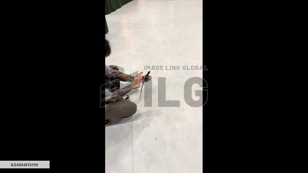 China: Lightning-Fast Lizard Dashes Across Nanjing Pet Shop