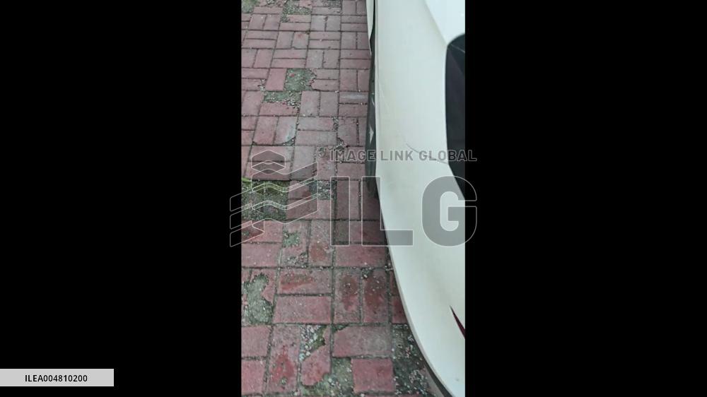 China: Kittens Found Under Car Hood in Anhui