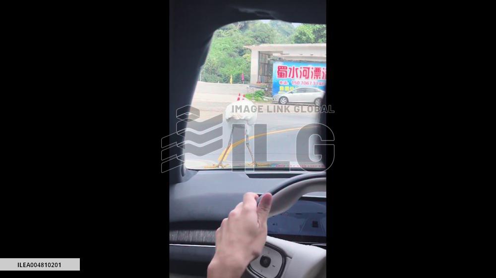 China: Egret Casually Hitches 10-km Ride on Car Hood in Jinggangshan