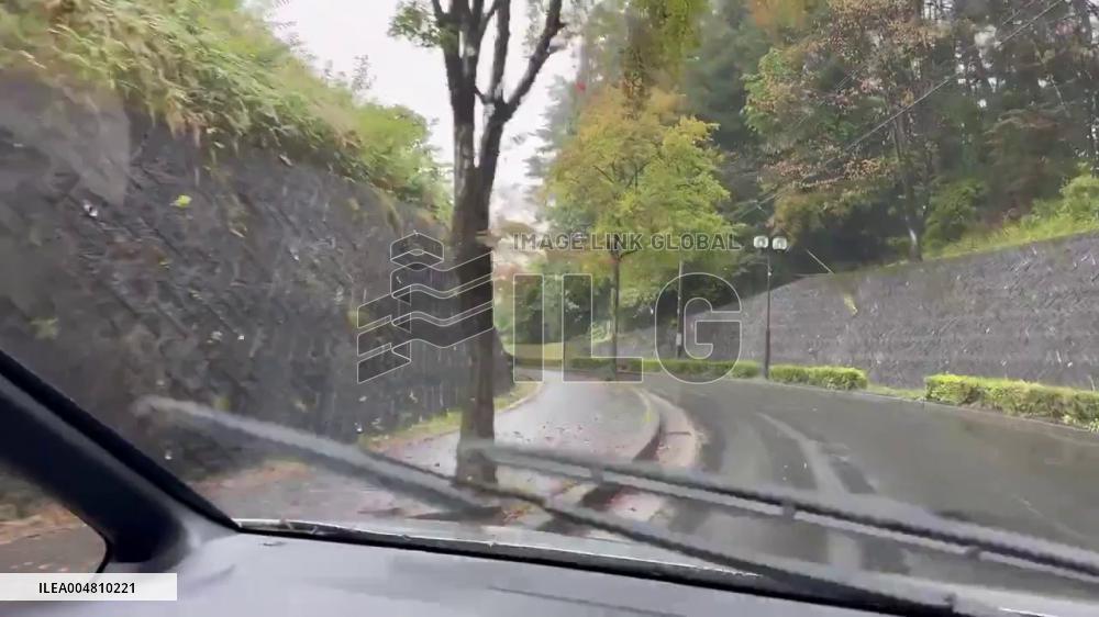 Japan: Bear Incidents Spike in Northern Regions Ahead of Hibernation Season