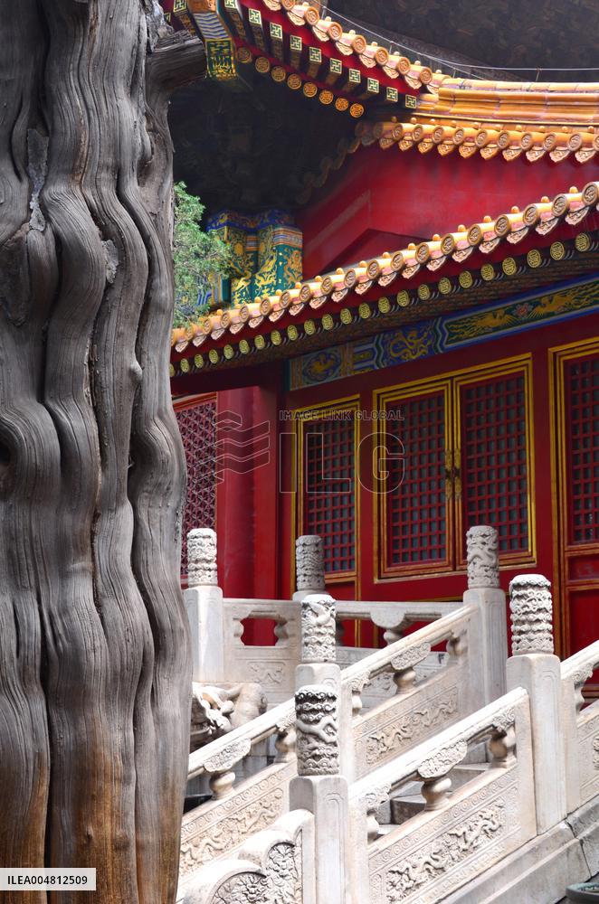 Illustration - Beijing