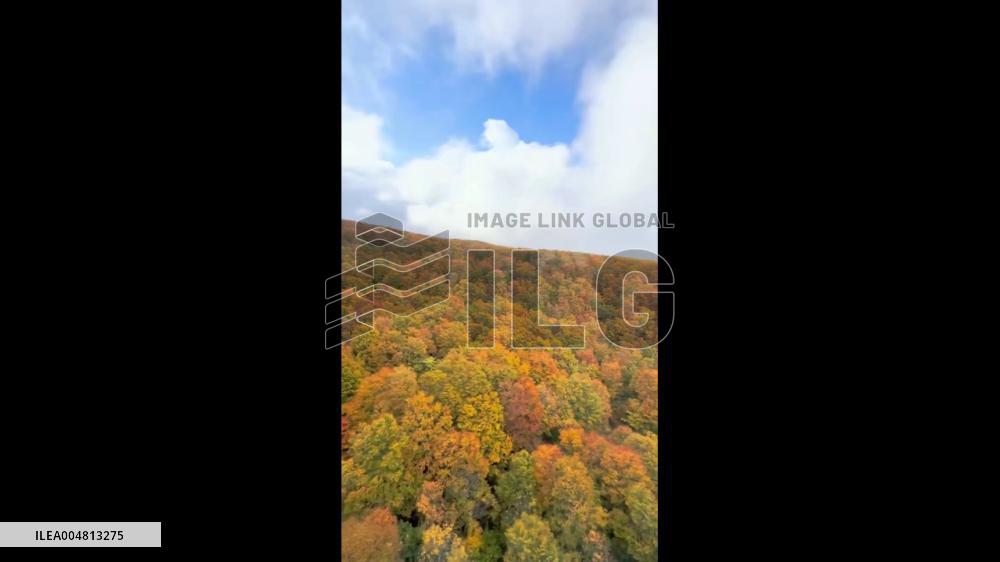 Japan: Autumn Foliage Blooms Across Country After Scorching Summer
