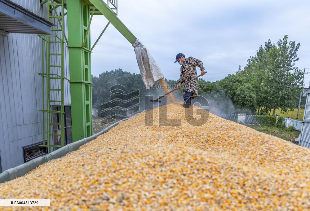 Family Farm Drying Center