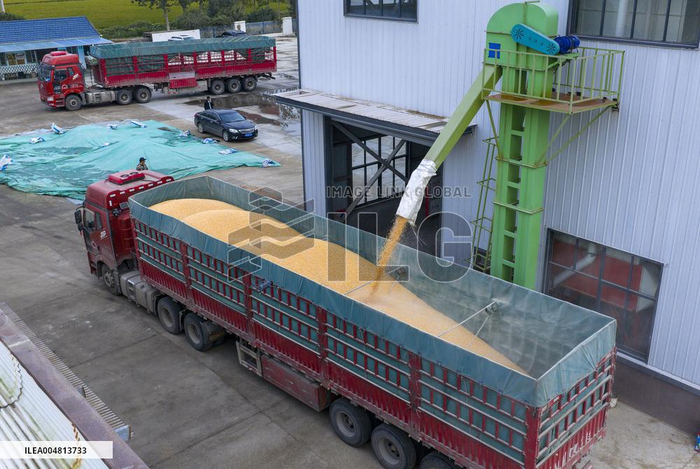 Family Farm Drying Center