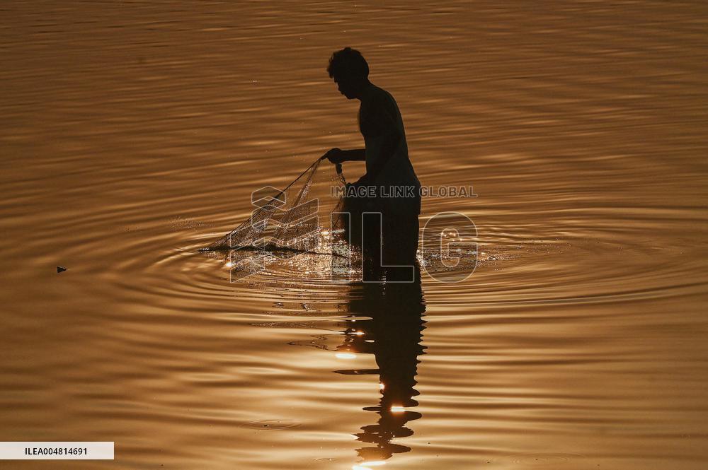 A Man Fishes in The Shallow Waters - India