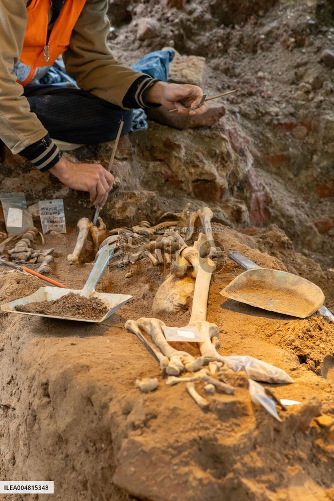 Archaeological excavations