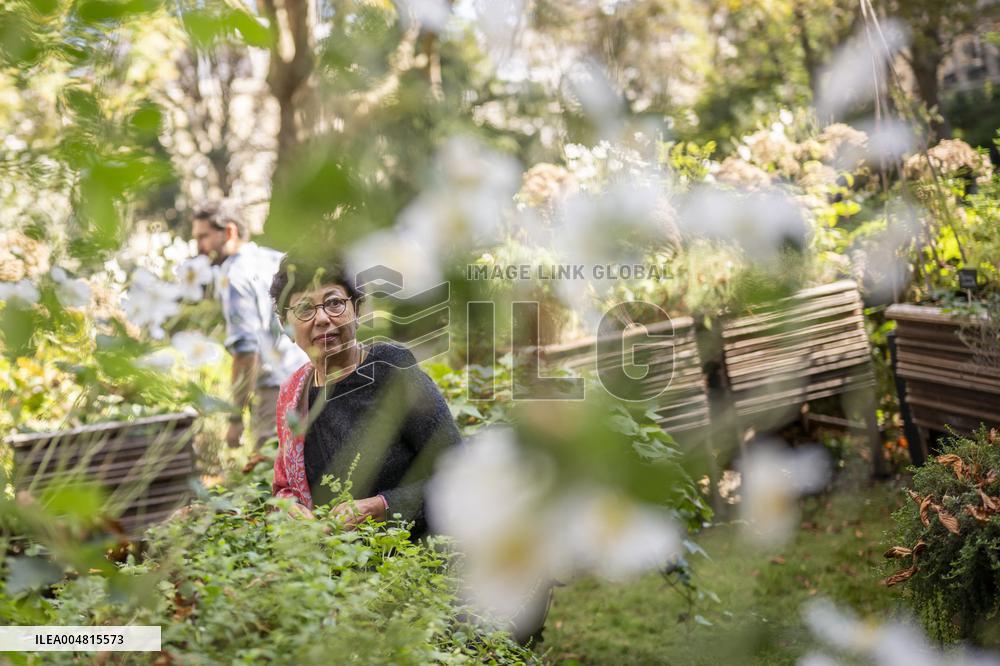 Environment Minister Monique Barbut Portrait