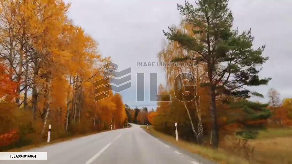 Sweden: Stunning Autumn Foliage Captured in Jönköping County