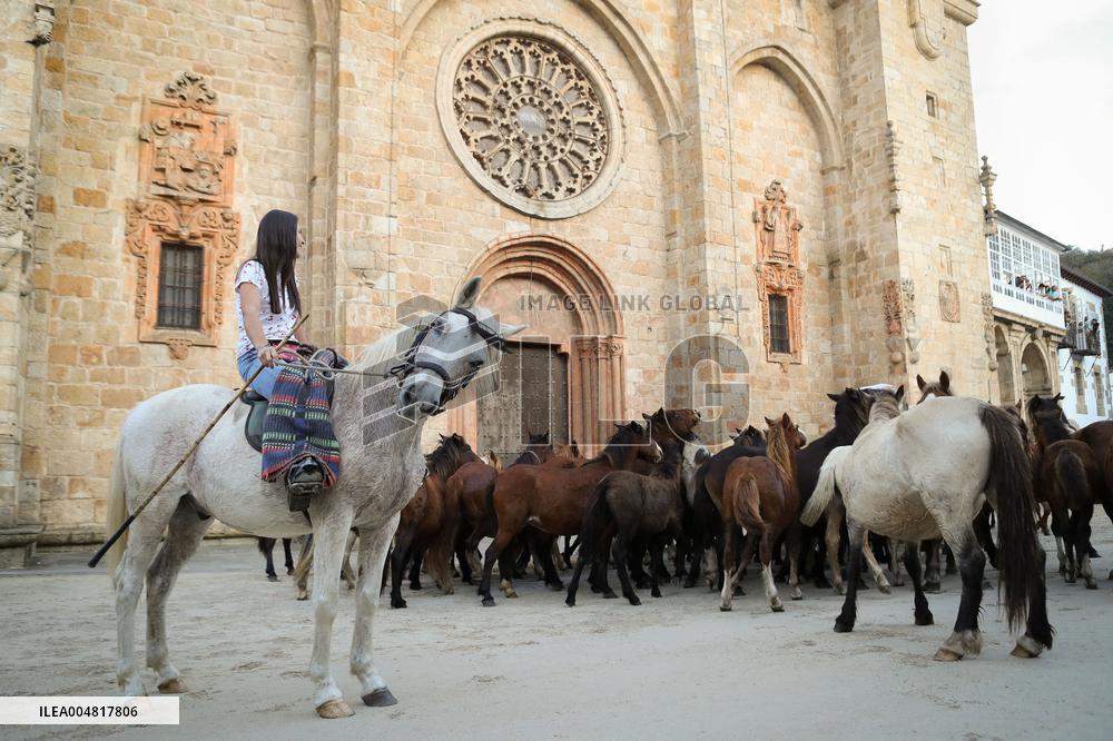 Celebration Of San Lucas Fair - Spain
