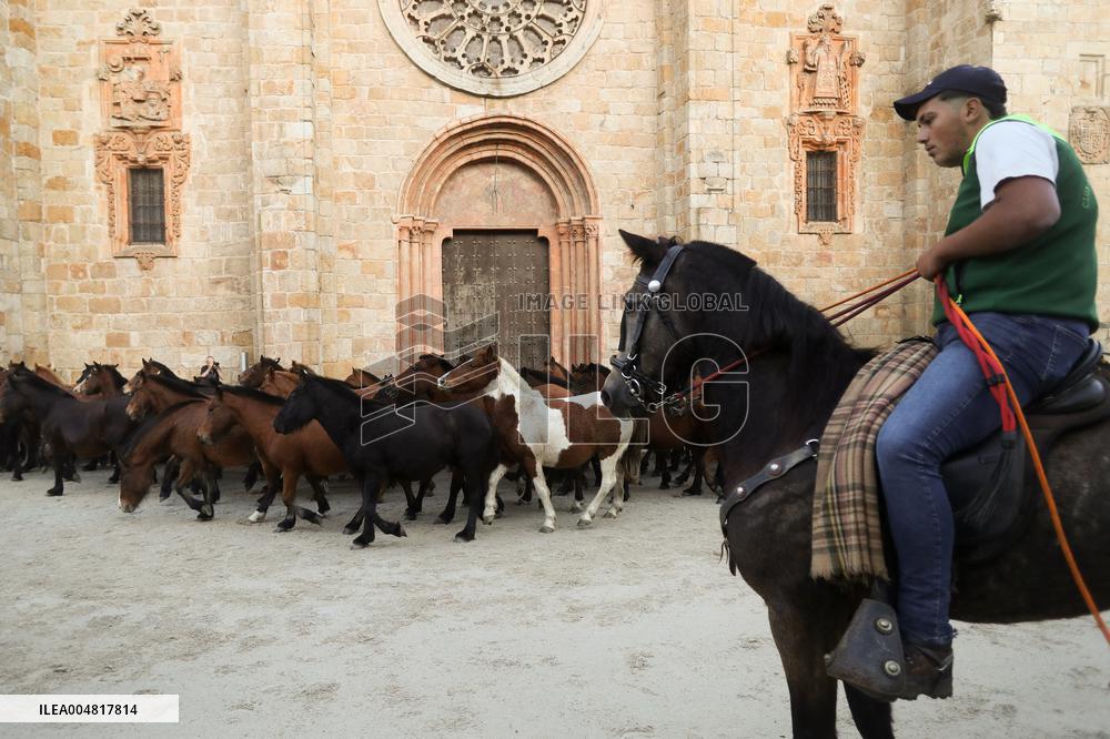 Celebration Of San Lucas Fair - Spain