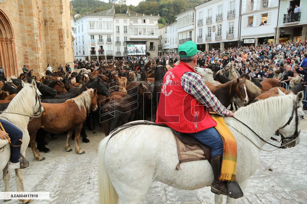 Celebration Of San Lucas Fair - Spain