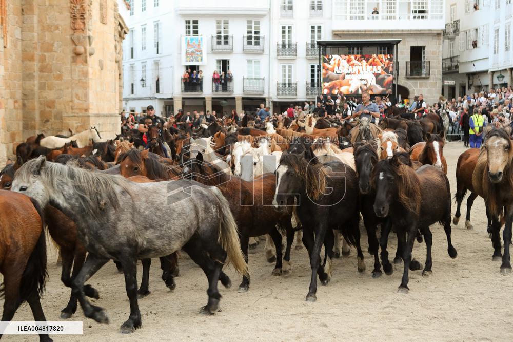 Celebration Of San Lucas Fair - Spain