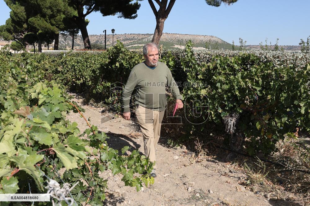 Fan Sneaks Into Stella del Carmen's Banderas Wedding - Spain