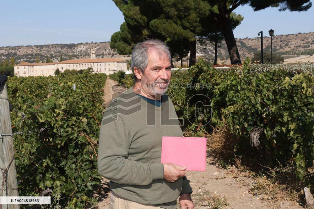 Fan Sneaks Into Stella del Carmen's Banderas Wedding - Spain