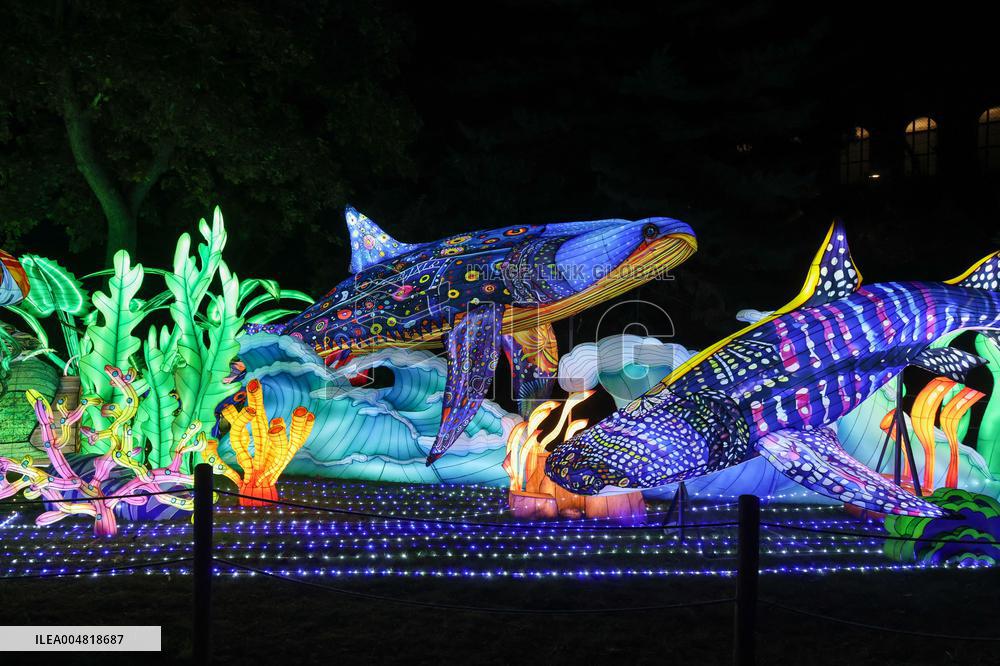 Lantern Festival Celebrated In Budapest - Hungary
