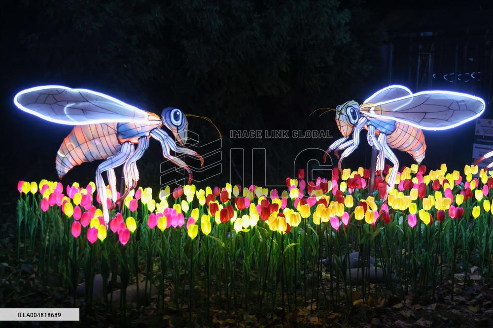 Lantern Festival Celebrated In Budapest - Hungary