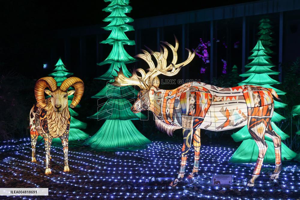 Lantern Festival Celebrated In Budapest - Hungary