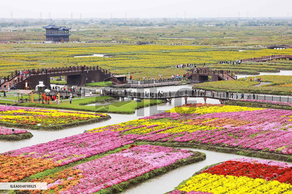 Autumn Scenery Tourism - Chin