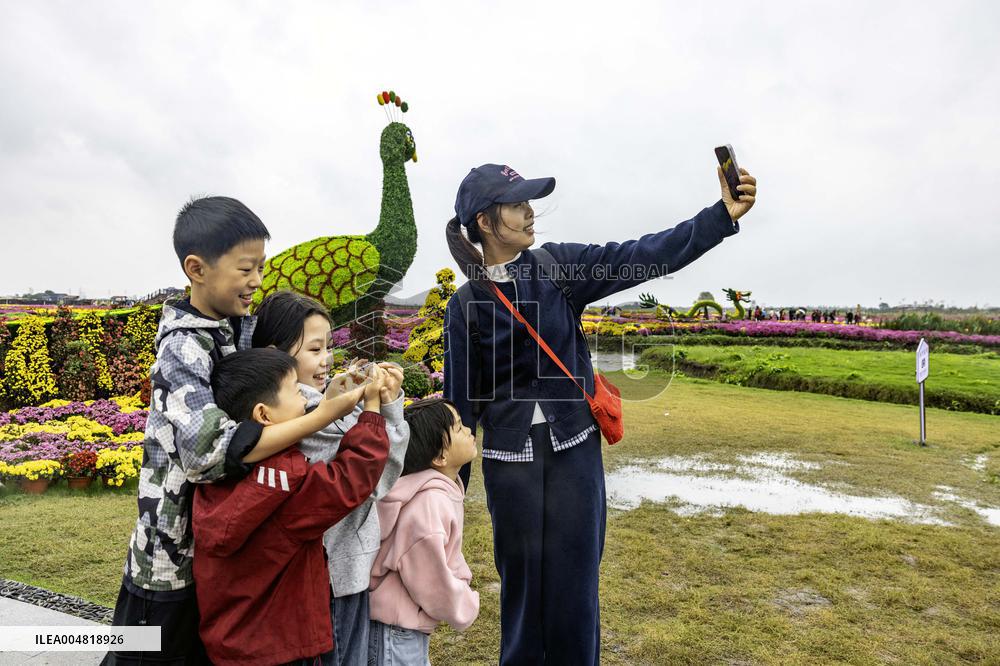 Autumn Scenery Tourism - Chin