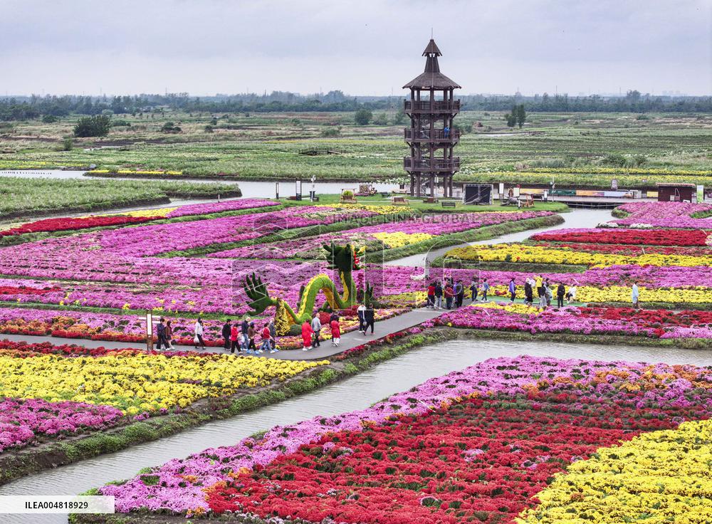 Autumn Scenery Tourism - Chin