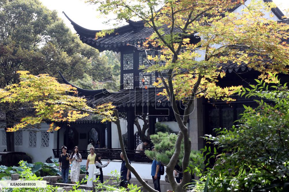 Autumn Scenery Tourism - Chin