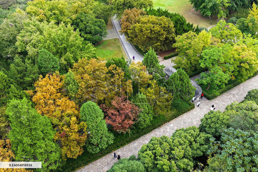 Autumn Scenery Tourism - Chin