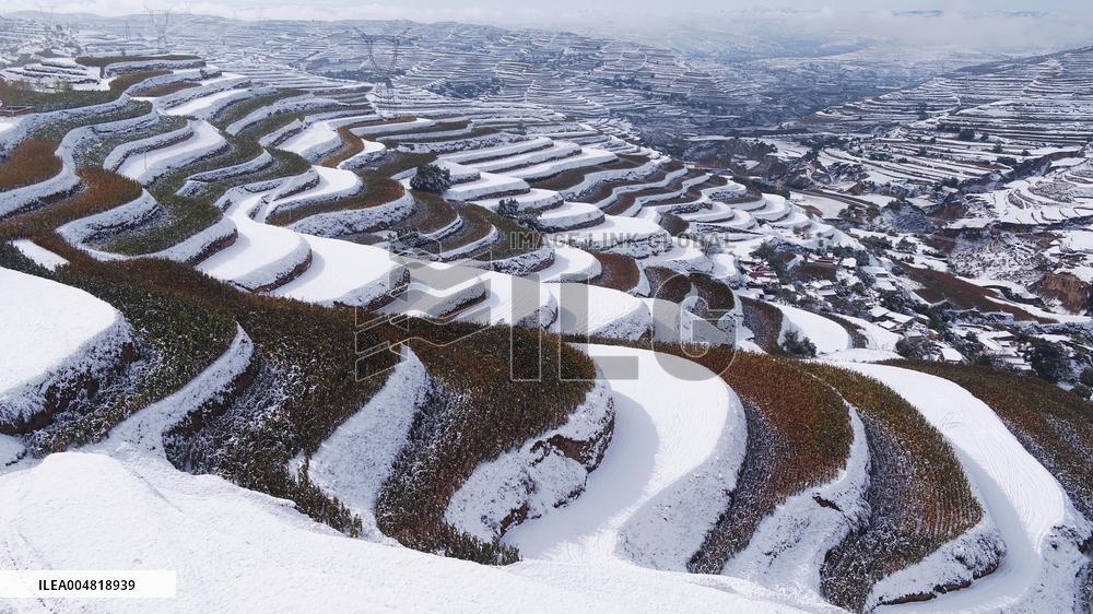 Autumn Scenery Tourism - Chin