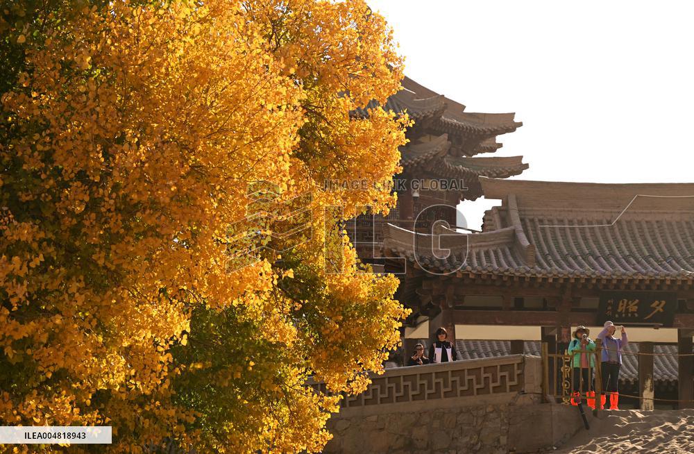 Autumn Scenery Tourism - Chin