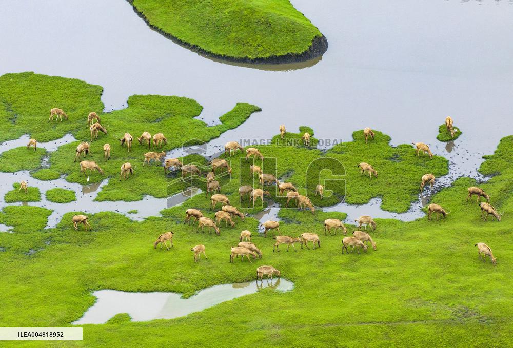 Autumn Scenery Tourism - Chin