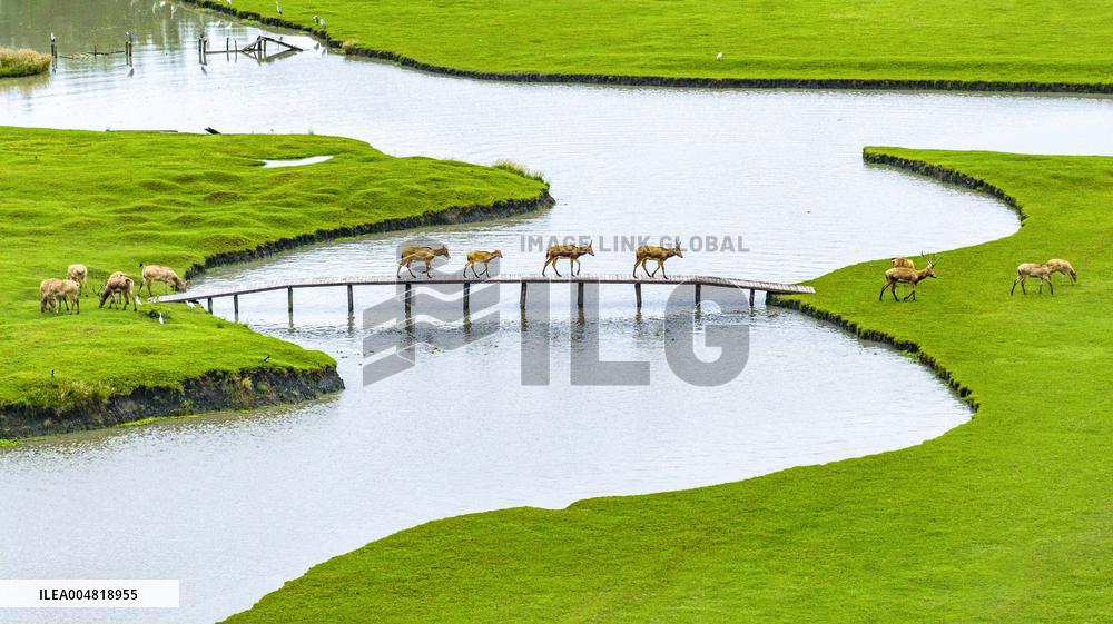 Autumn Scenery Tourism - Chin