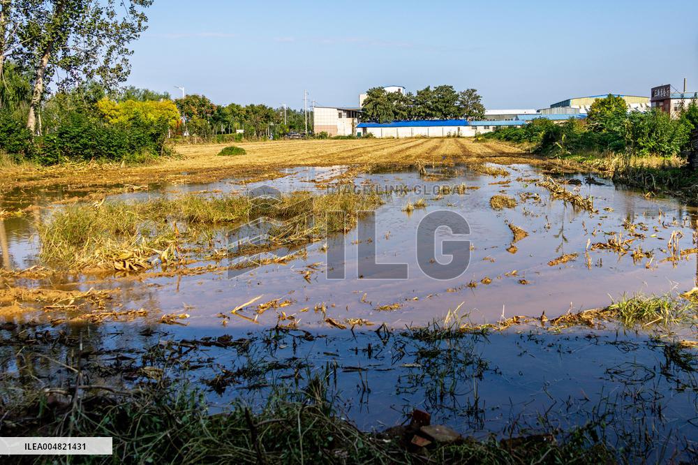 Farmland After Rainy Weather
 in Anyang