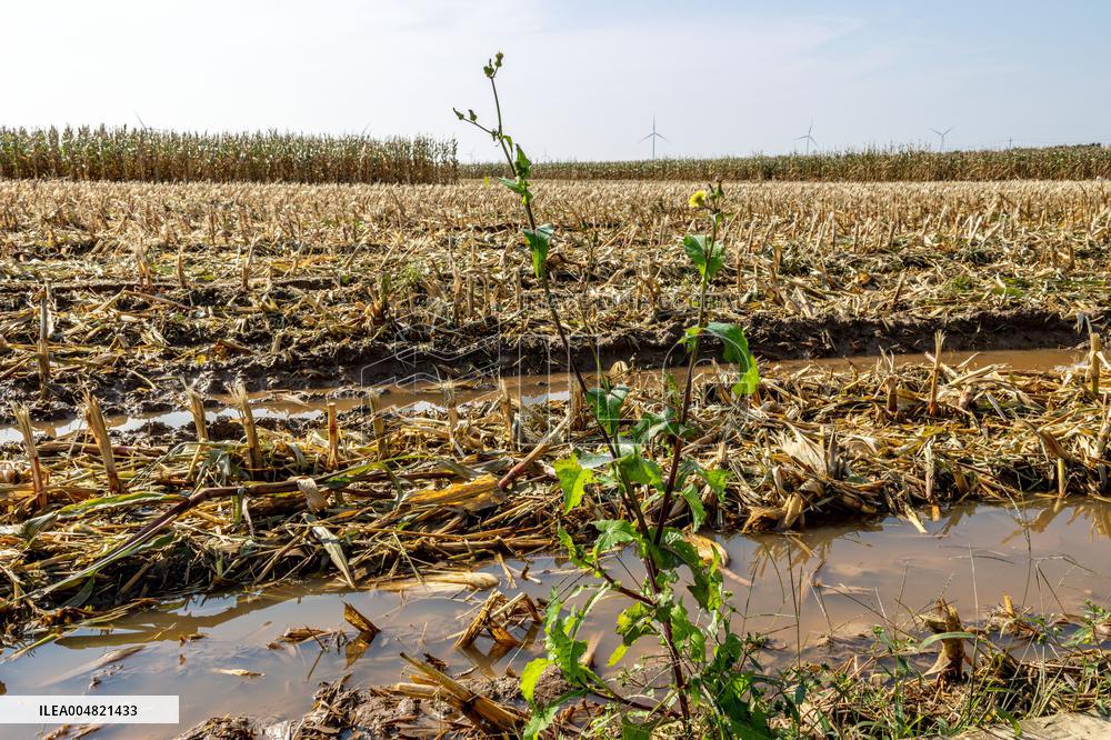 Farmland After Rainy Weather
 in Anyang