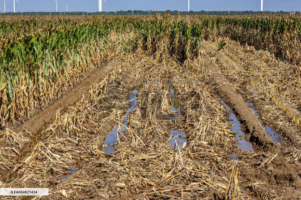Farmland After Rainy Weather
 in Anyang