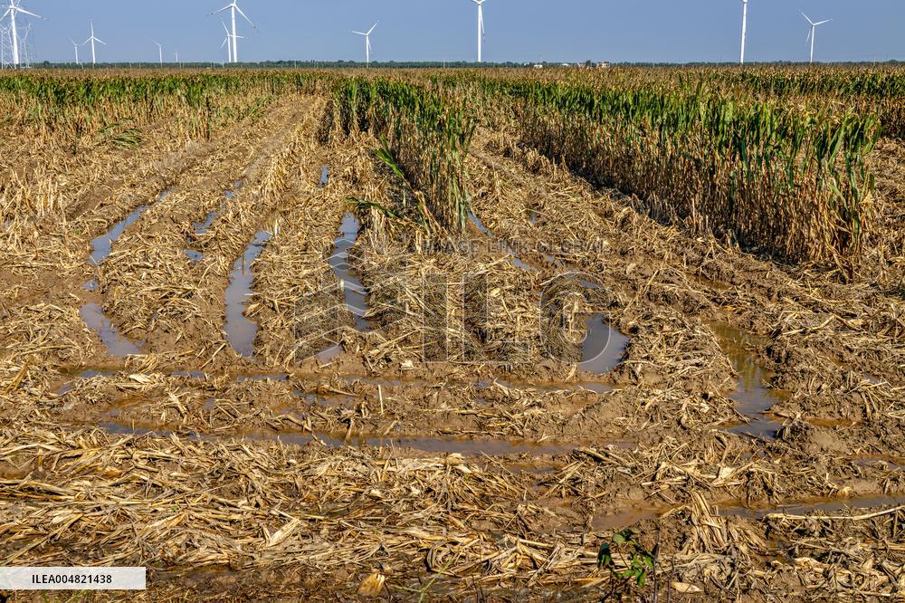Farmland After Rainy Weather
 in Anyang