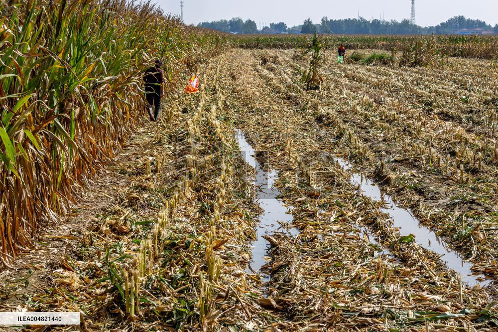 Farmland After Rainy Weather
 in Anyang