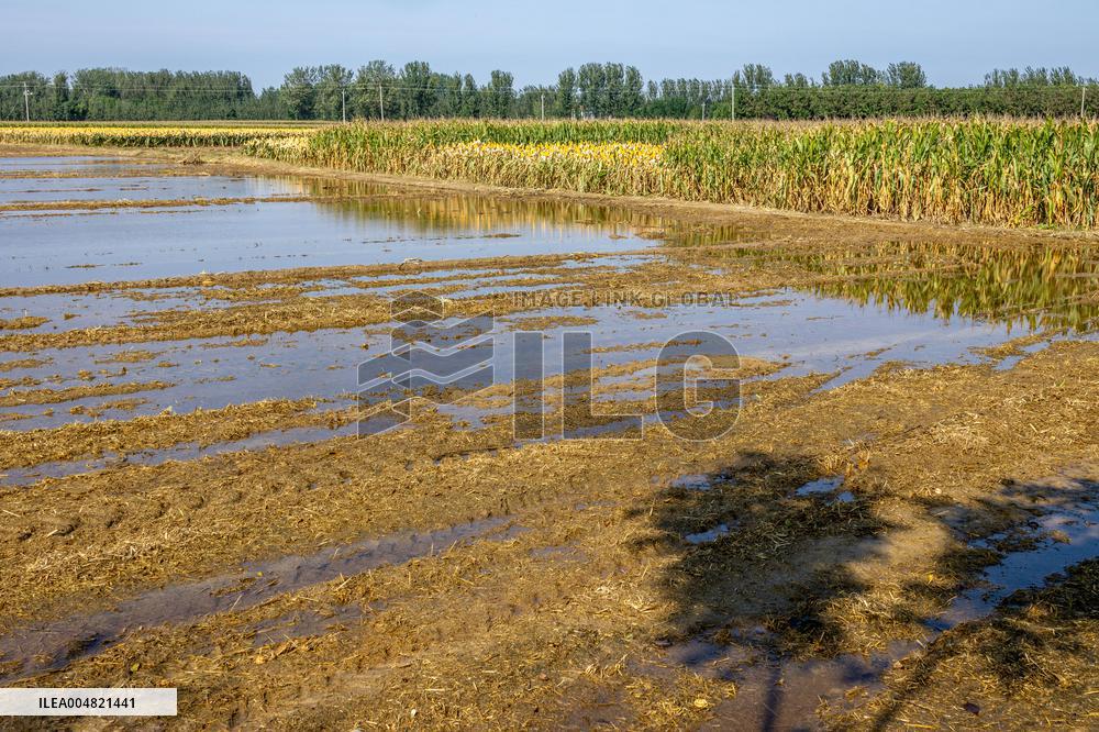 Farmland After Rainy Weather
 in Anyang