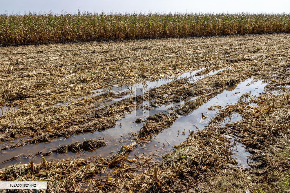 Farmland After Rainy Weather
 in Anyang