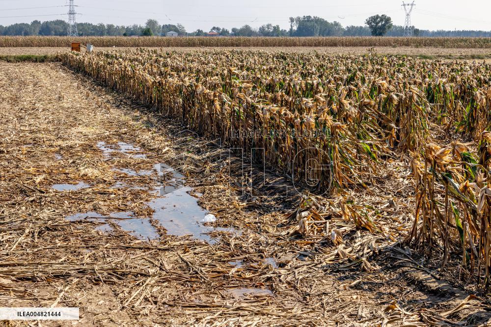 Farmland After Rainy Weather
 in Anyang