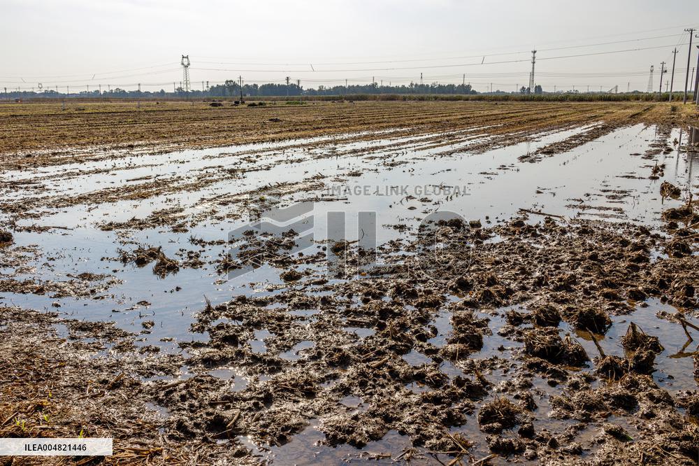 Farmland After Rainy Weather
 in Anyang