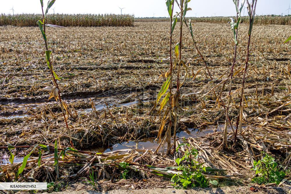 Farmland After Rainy Weather
 in Anyang