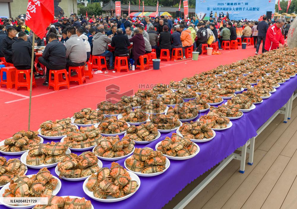 Hongze Lake Hairy Crabs